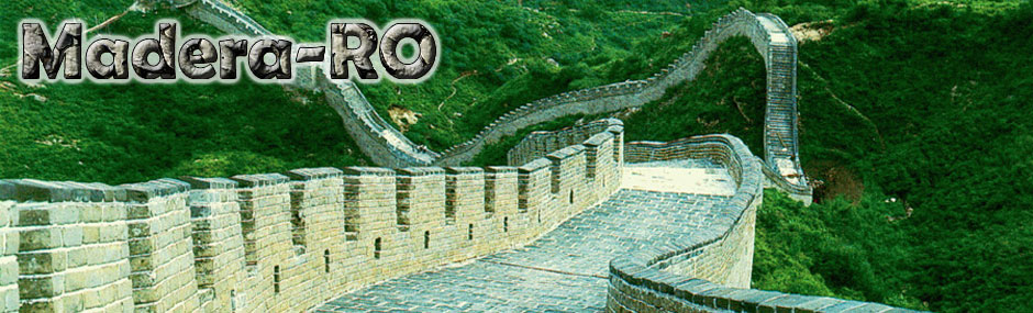 Piatra naturala decorativa